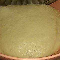 A picture of Pizza Dough 🍕.