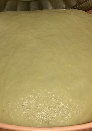 A picture of Pizza Dough 🍕.