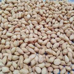 รูปของ Biji ketapang renyah