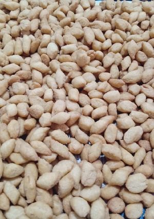 Foto resep Biji ketapang renyah