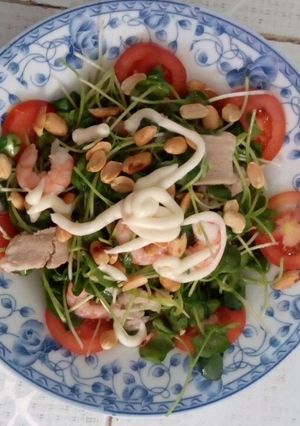 Hình của món Rau cải mầm trộn tôm thịt.