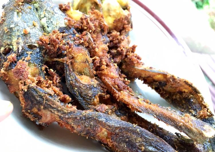 Cara Buat Lele goreng laos (lengkuas) untuk jualan