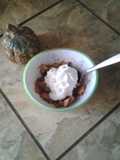 Apple cinnamon snack