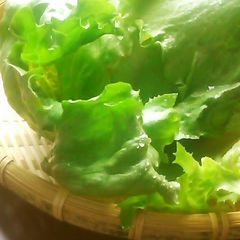 How to Tear Lettuce to Make it Taste 10 Times Better A picture of How to Tear Lettuce to Make it Taste 10 Times Better.