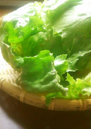 A picture of How to Tear Lettuce to Make it Taste 10 Times Better.