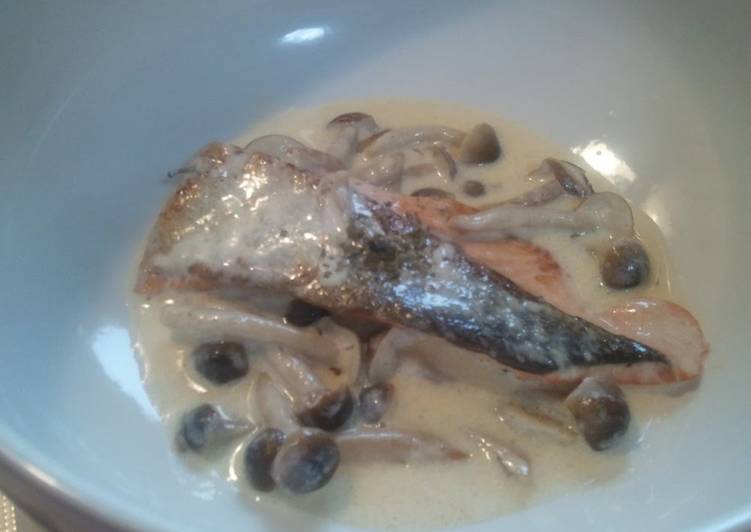 Steps to Make Quick Easy! Butter-Pan-Fried Salmon With Cream Sauce ...