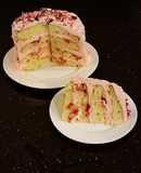 Vanilla Layer Cake with Peppermint Whipped Cream Frosting and Filling