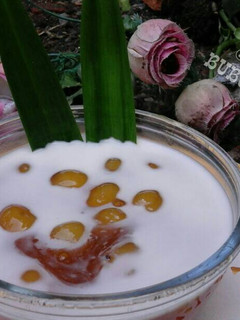 Foto resep Bubur biji salak