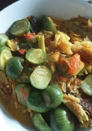 Foto resep Santen ikan + terong resep mama