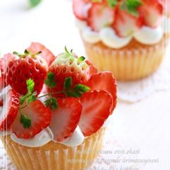 A picture of My Cute and Fluffy Cupcakes.