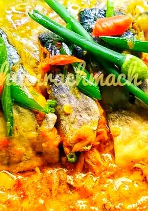 Foto resep Patin bumbu kuning