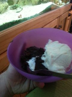 A picture of Mousecatliver Pudding.