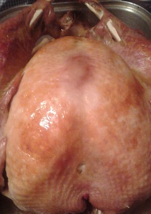 A picture of my Mom's Turkey , baked.
