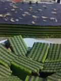 Kue Balapis Pandan Cokelat
