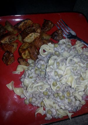 A picture of Ground beef stroganoff.