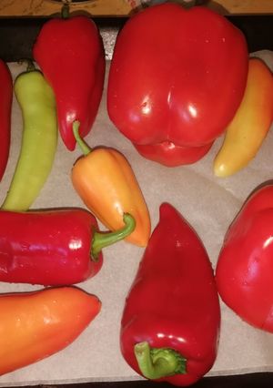 Sült paprika krém recept fotója