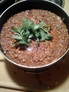 A picture of Lentel Soup.
