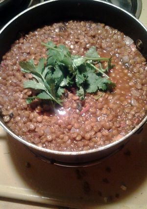 A picture of Lentel Soup.