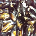 Moules Marinieres (Sailors Mussels)