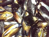 Moules Marinieres (Sailors Mussels)