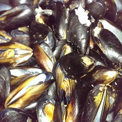 A picture of Moules Marinieres (Sailors Mussels).