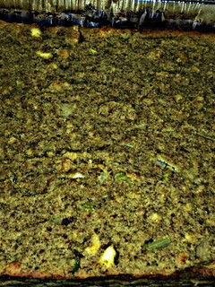 A picture of Dressing !! (Stuffing).