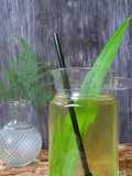 Air Pandan Wangi
