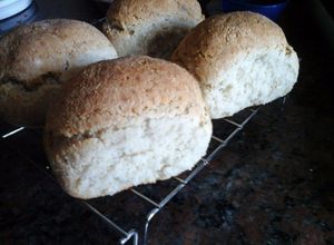 Una foto de Pan tipo pan casero de campo SIN gluten apto celíacos