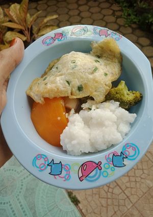 Foto resep Mpasi dadar telor (10m+)