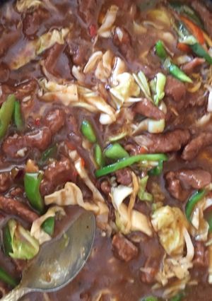 A picture of Shredded beef sauce.