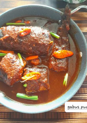 Foto resep Gabus pucung🐟