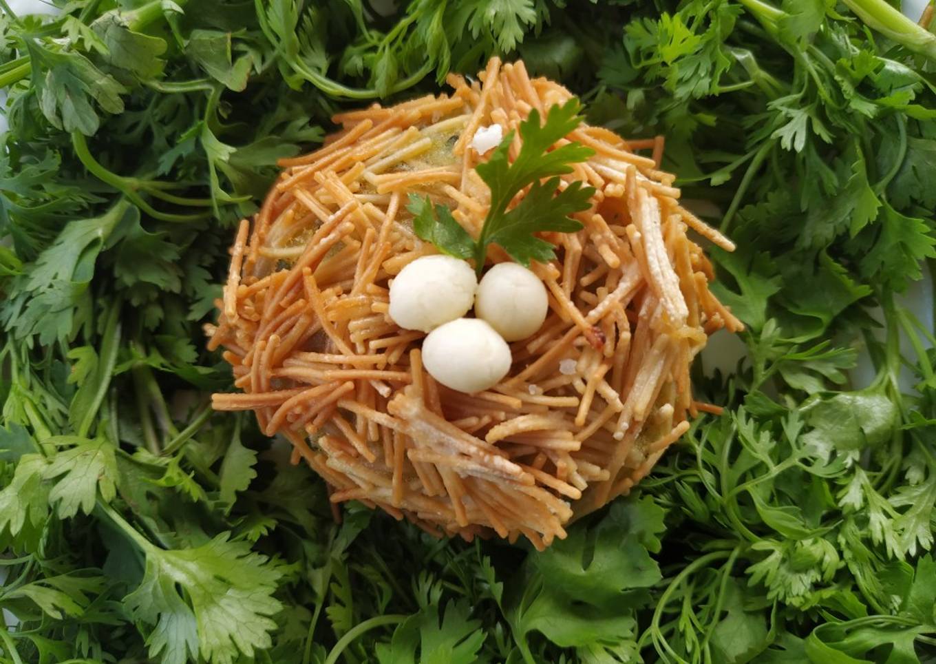 Bird nest