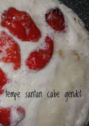 Foto resep Tempe Santan Cabe Gendot