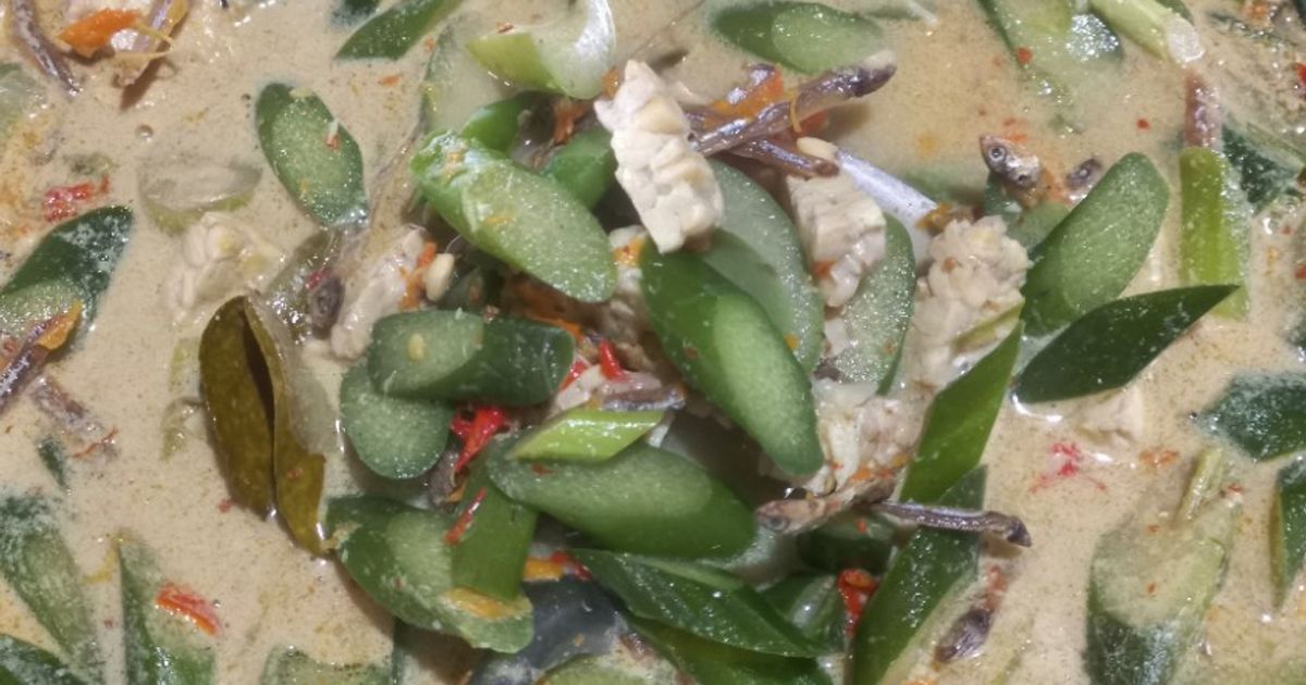 Lodeh lompong, tempe, teri