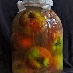 Fermented apples A picture of Fermented apples.