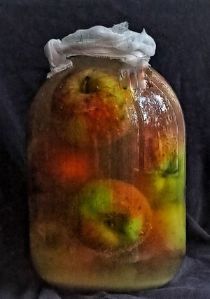 A picture of Fermented apples.