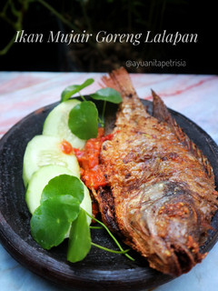 Foto resep Ikan Mujair Goreng Lalapan