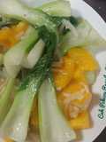 Cah Pokcoy Paprika Kuning