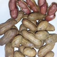 A picture of Gyada.