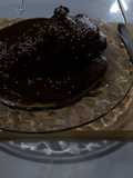 Mole negro Contreras