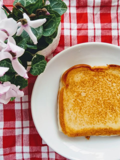 A picture of American Grilled Cheese Sandwich.