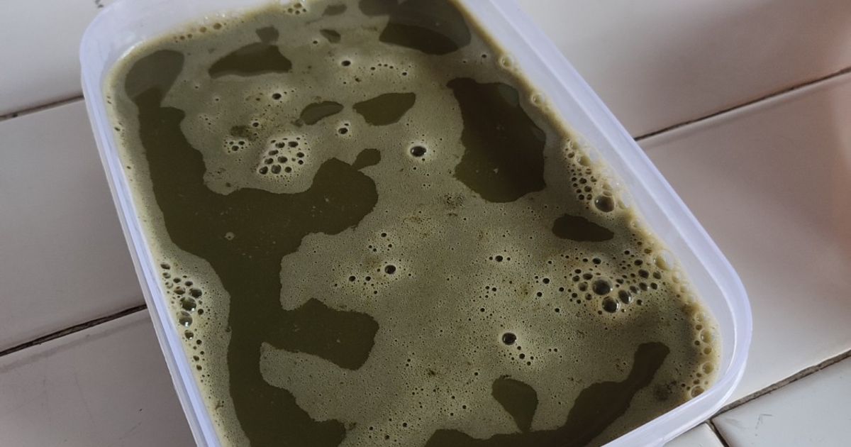 Agar-agar Matcha