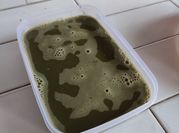 Gambar agar agar matcha