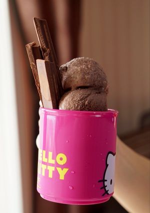 Foto resep Low Sugar Chocolate Ice Cream 🍦🍫