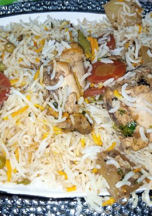 A picture of Nauratan Biryani.
