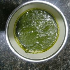 A picture of Sarson ka saag.