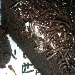 รูปของ Brownis ekonomis 1telur