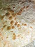 Doodhi paratha