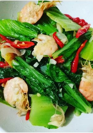 Foto resep Sawi Pahit Tumis Udang
