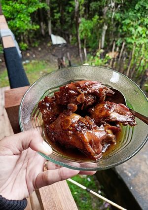 Foto resep Ayam kecap bumbu minimalis